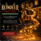 🧑‍🎄✨2026 New Santa‘s Flying Sleigh Gift Cascade-Solar Christmas Garden Light